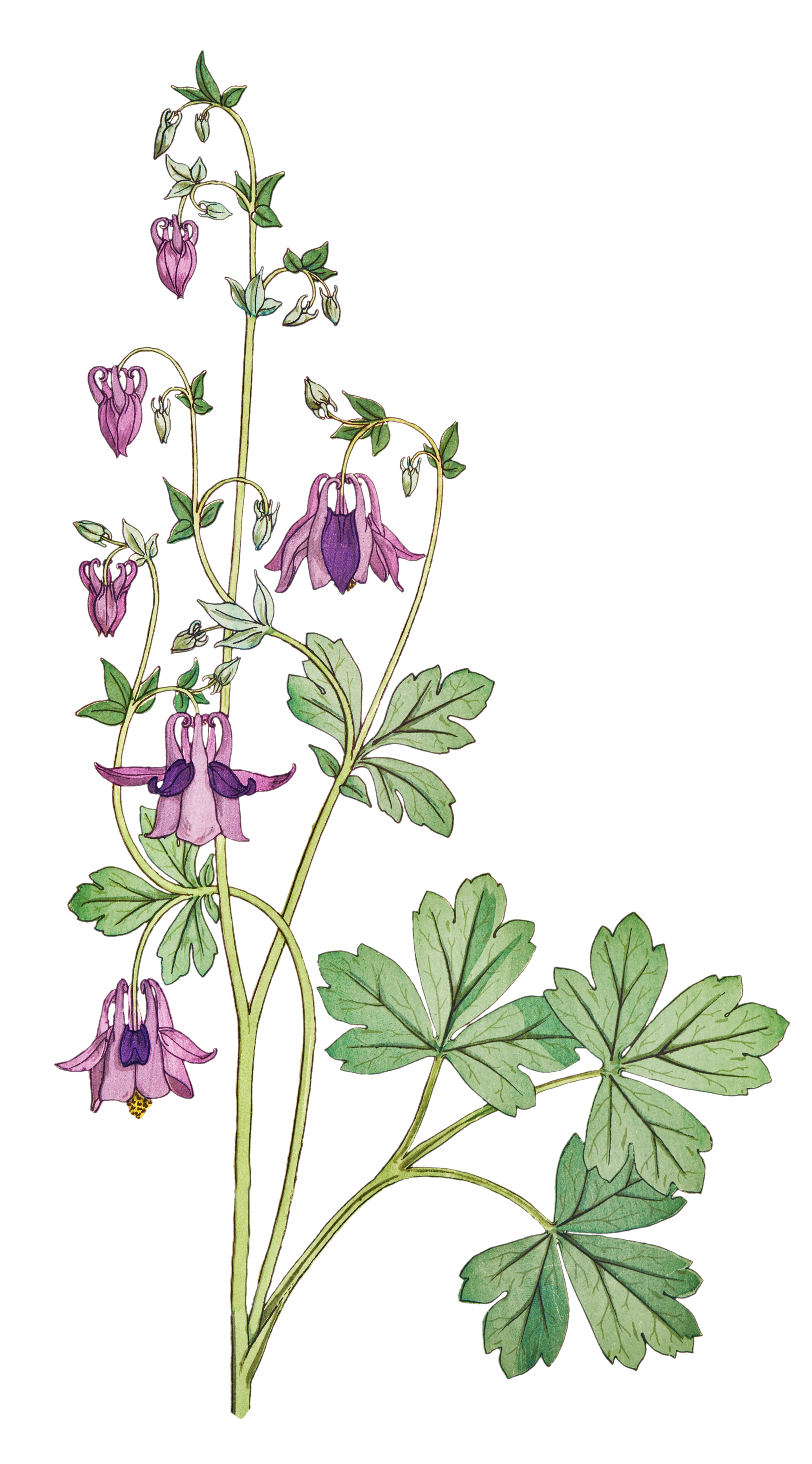 erreur de chargement