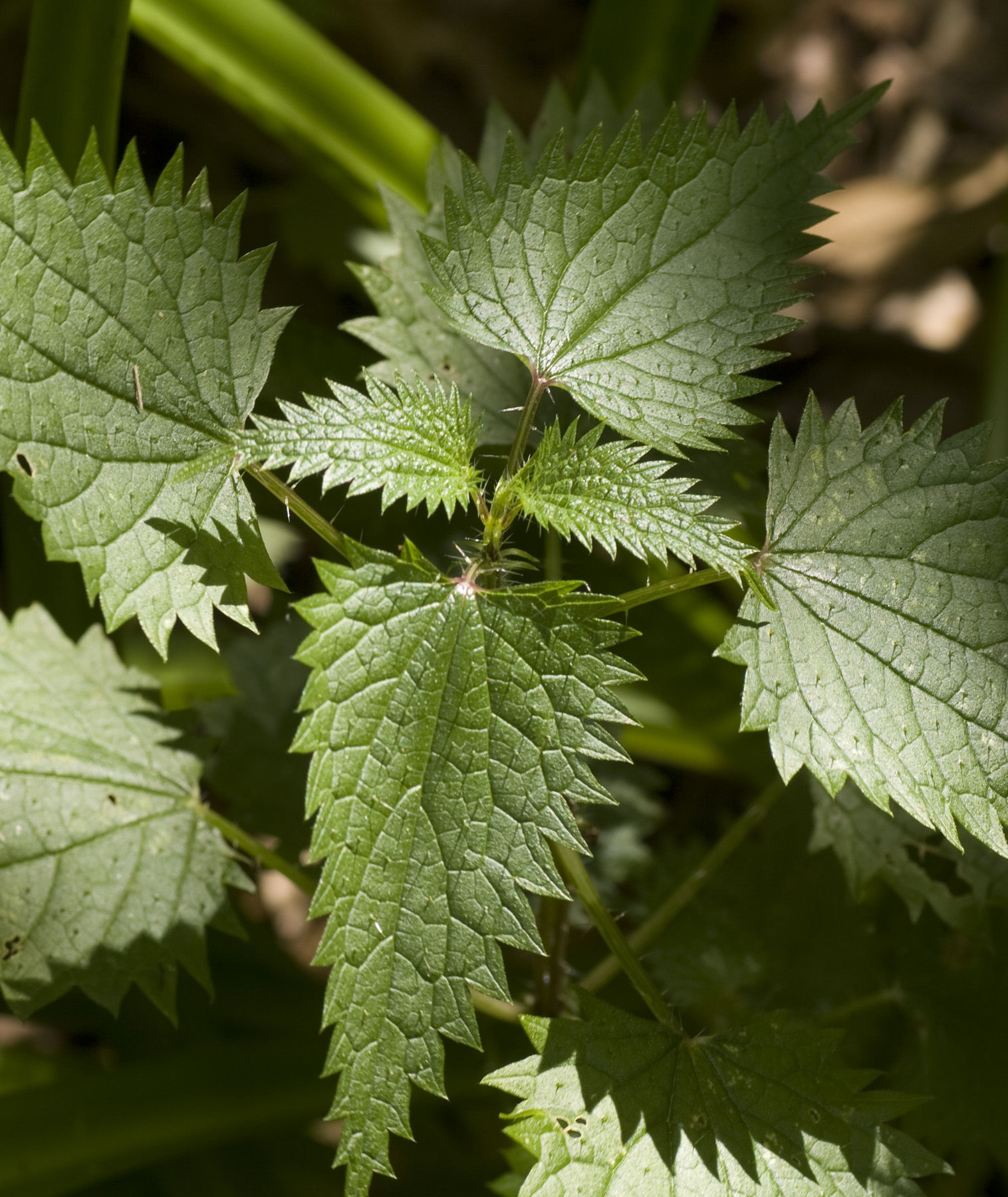 erreur de chargement